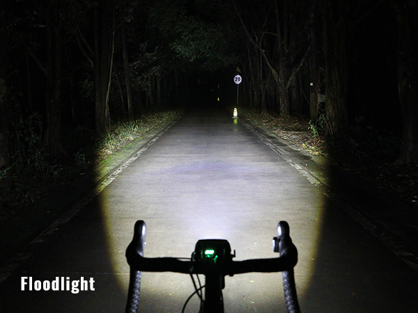 MONTEER 12000 with spot light and flood light