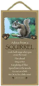 SJT ENTERPRISES, INC. Advice from a Squirrel - 5" x 10" Wood Plaque Sign - Officially Licensed from Your True Nature (SJT67214)