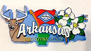Arkansas State Elements Fridge Collectible Souvenir Magnet jks