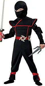 California Costumes Stealth Ninja Toddler Costume, 3-4