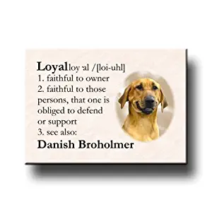 Danish Broholmer Dictionary Loyal Fridge Magnet