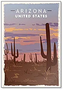 Arizona Desert Retro Travel Illustration Fridge Magnet