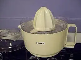 Krups Type 252 Household Juicer