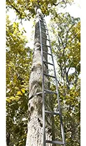 SAMRWX2-177434.115 * Guide Gear 20' Tree Ladder