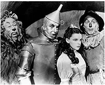 The Wizard of Oz Dorothy Scarecrow Tin Man and Lion all Wide Eyed 8 x 10 Photo