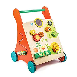 Tender Leaf Toys - Wooden Baby Activity Walker - Playroom and Classroom Toy - Encourages Cognitive Development - Kids 18 months +