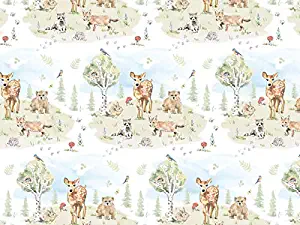 Baby Woodland Animals Folded Gift Wrap, 10 Feet, Baby Raccoon, Bear, Deer, Rabbit, Hedgehog, Fox Wrapping Paper F