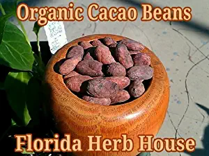 Cacao Beans Whole - Organic Certified - Pure & Unrefined (8 oz (1/2 lb))