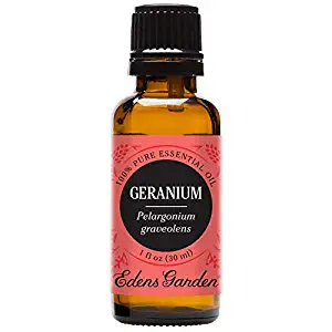 Edens Garden Geranium Essential Oil, 100% Pure Therapeutic Grade (Highest Quality Aromatherapy Oils- Anxiety & Skin Care), 30 ml