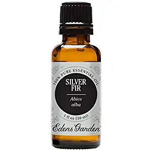 Edens Garden Silver Fir Essential Oil, 100% Pure Therapeutic Grade (Highest Quality Aromatherapy Oils- Headaches & Weight Loss), 30 ml