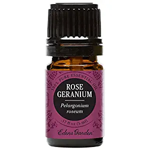 Edens Garden Rose Geranium Essential Oil, 100% Pure Therapeutic Grade (Highest Quality Aromatherapy Oils- Skin Care & Stress), 5 ml