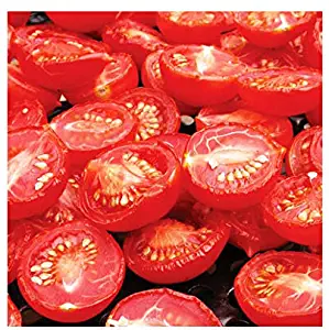 50+ Principe Borghese Tomato Seeds - A Delicious Tomato for Sauces, Paste, Canning - Non GMO - Neonicotinoid-Free