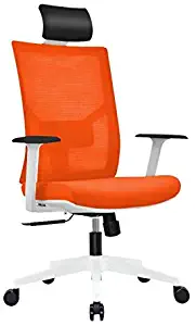 Ergonomic Multi Function Mesh Office Chair with Lumbar Support, Adjustable Armrest, Orange (Headrest, Orange)