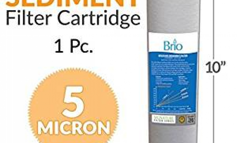 Which Is The Best Brio 10 Micron Water Filter